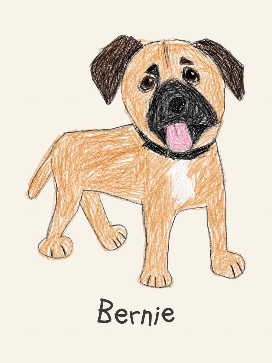 Bernie drawn in the Kid Crayon style