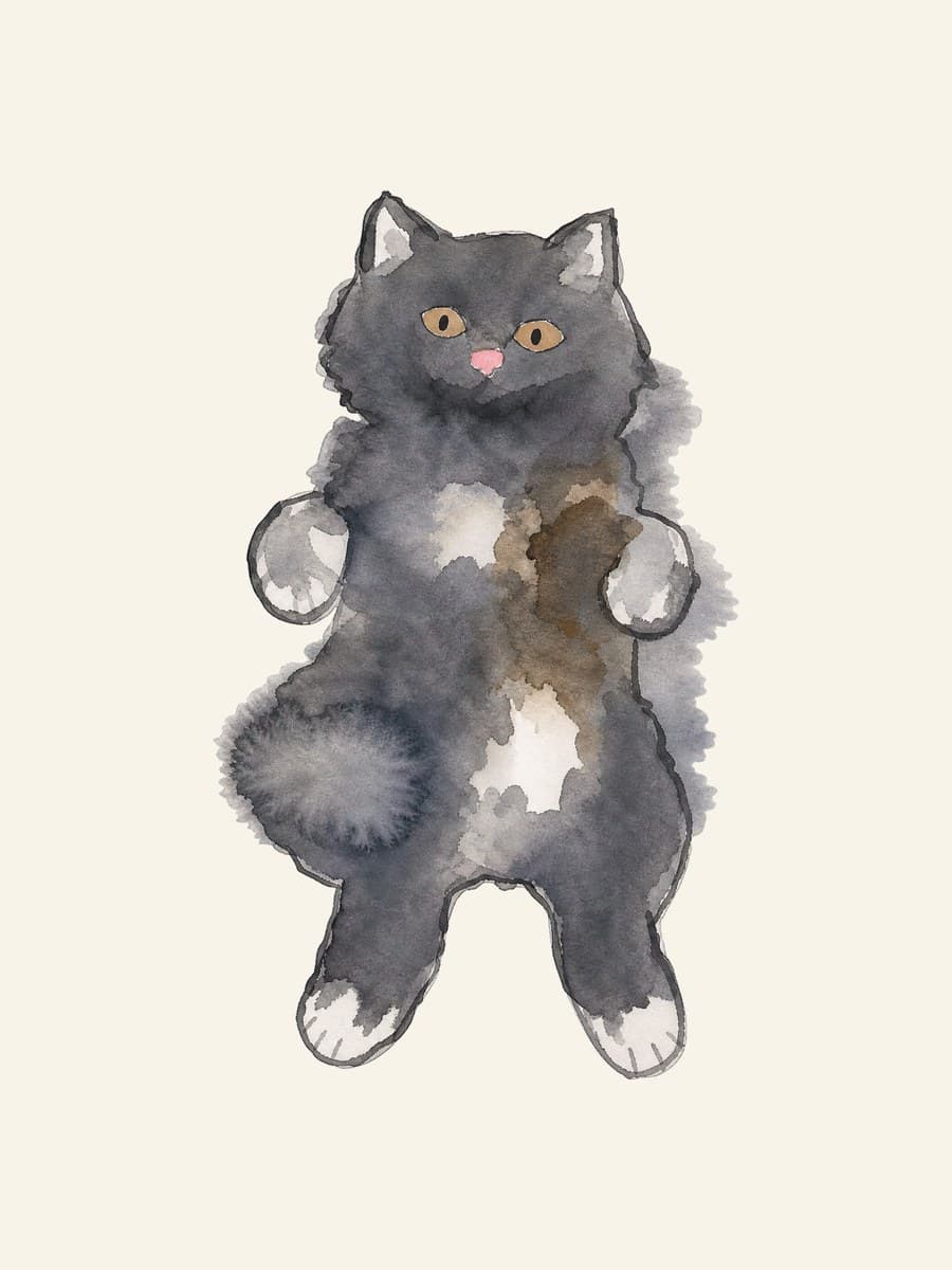 the fluffy gray cat drawn in the Kids' Watercolor Disaster style