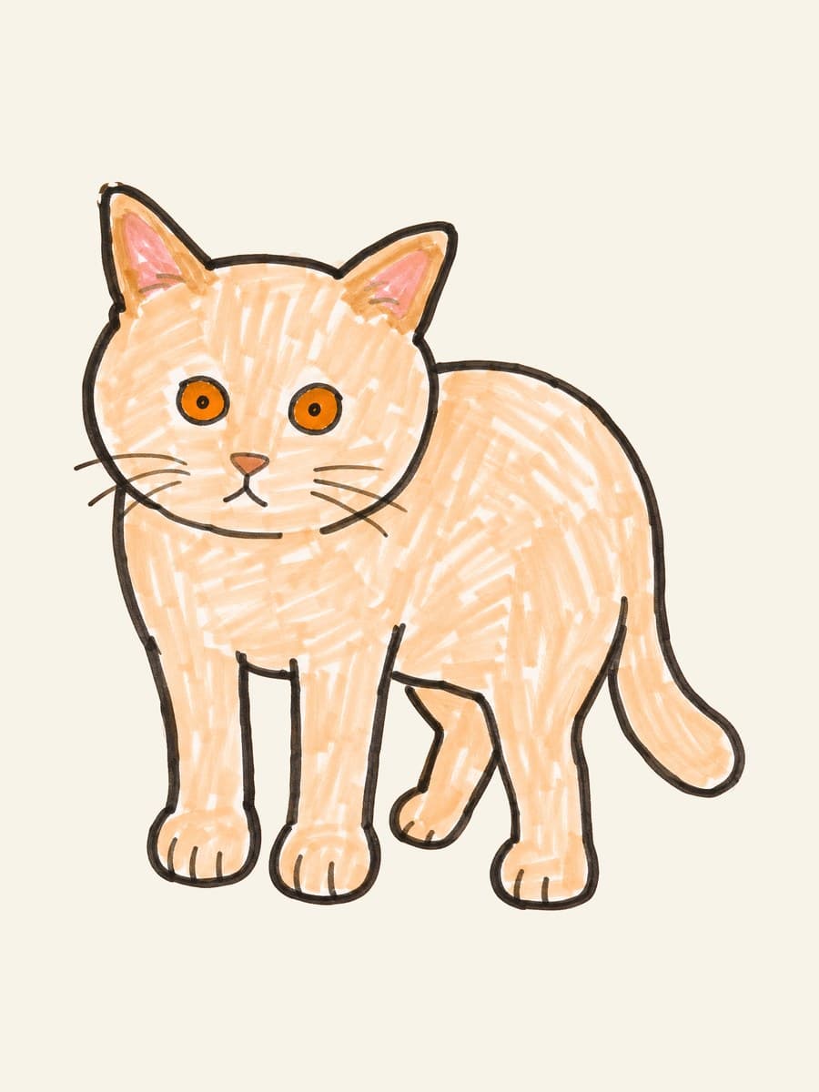 the cream tabby drawn in the School Marker style